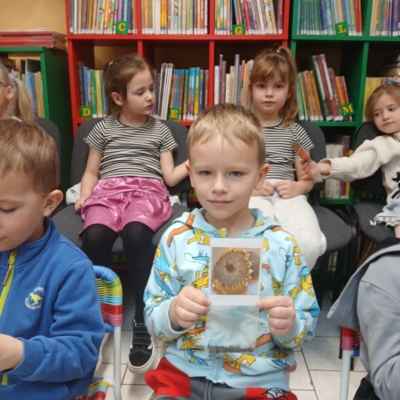 Fotografia kolorowa. Dzieci oglądają różne nasiona.