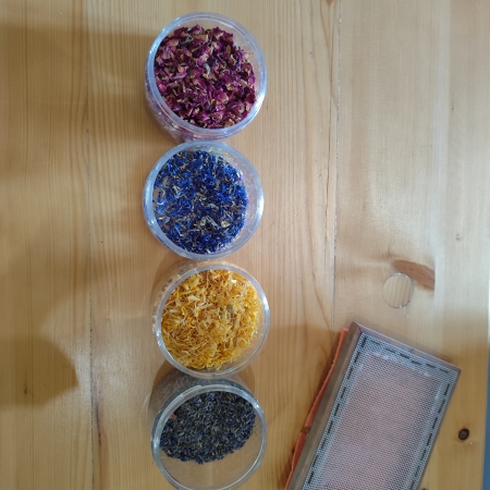 Fotografia kolorowa. Warsztaty z czerpania papieru.